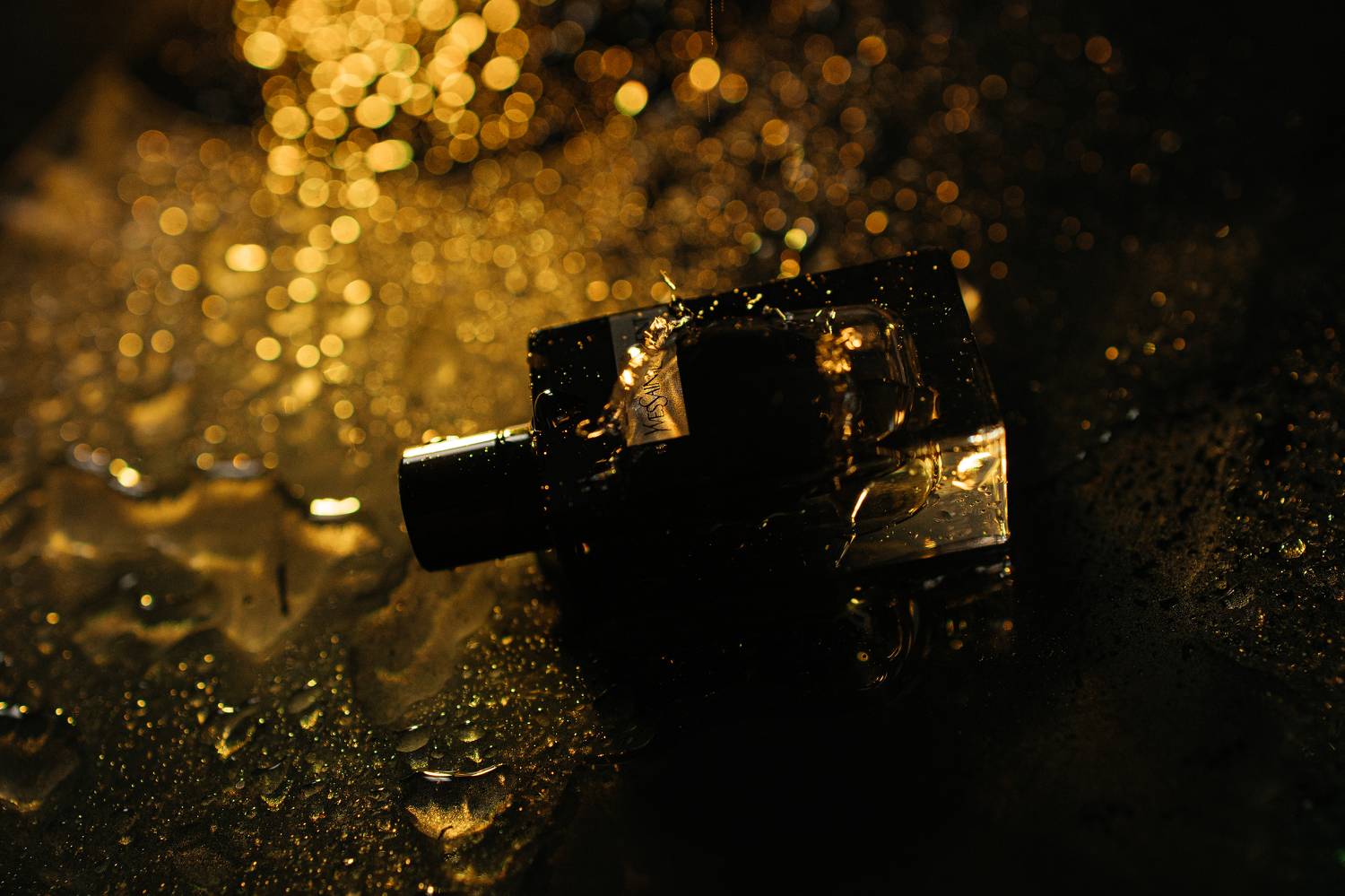 Photo #11144628