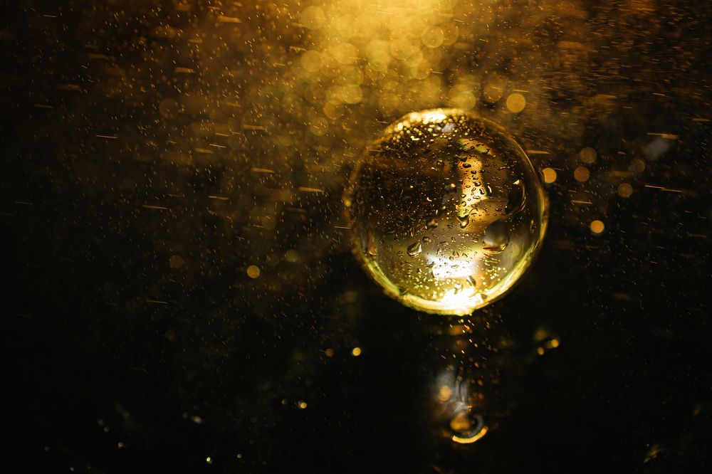 Photograph by Людмила Безуглая