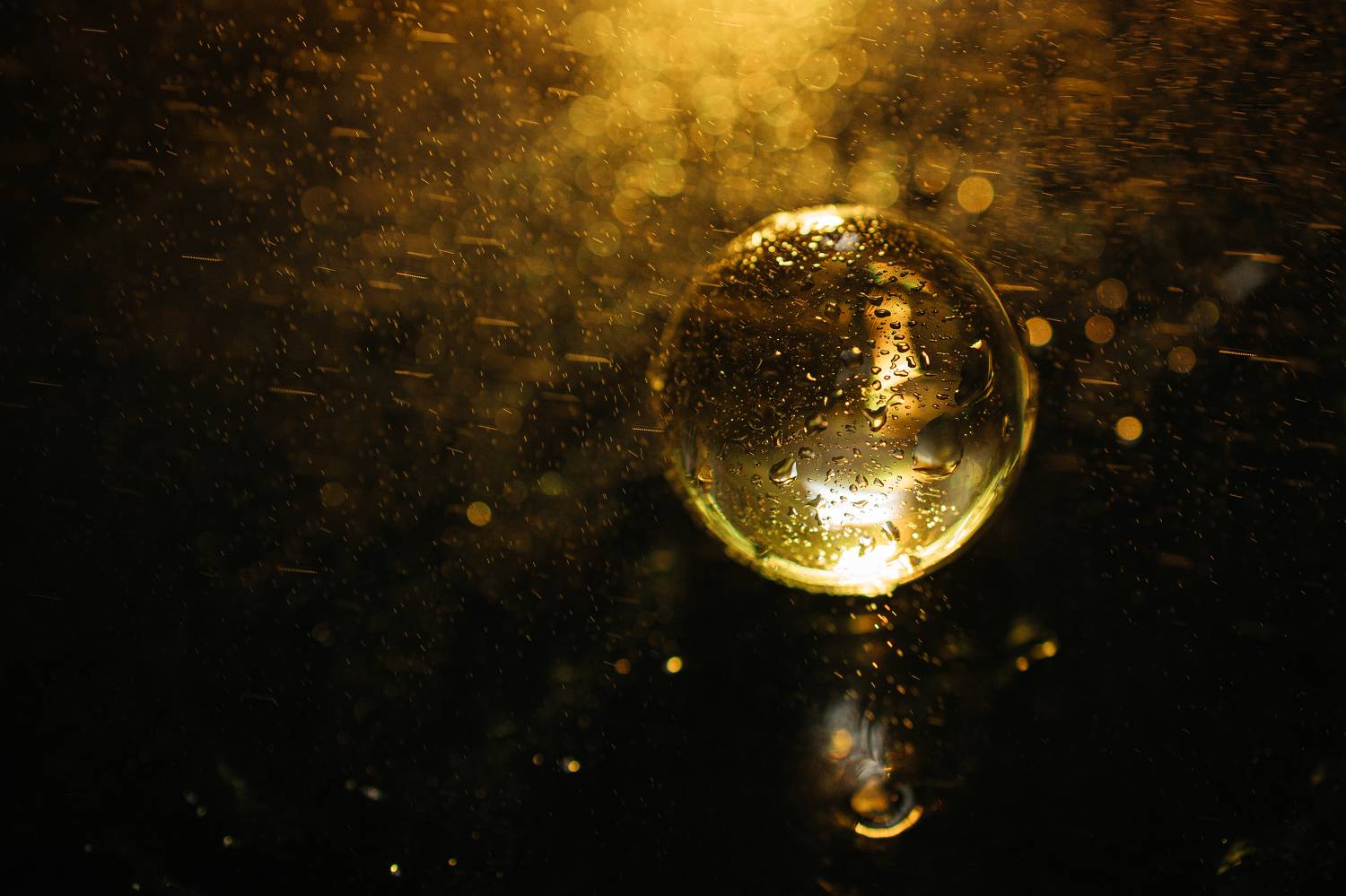 Photo #11144634