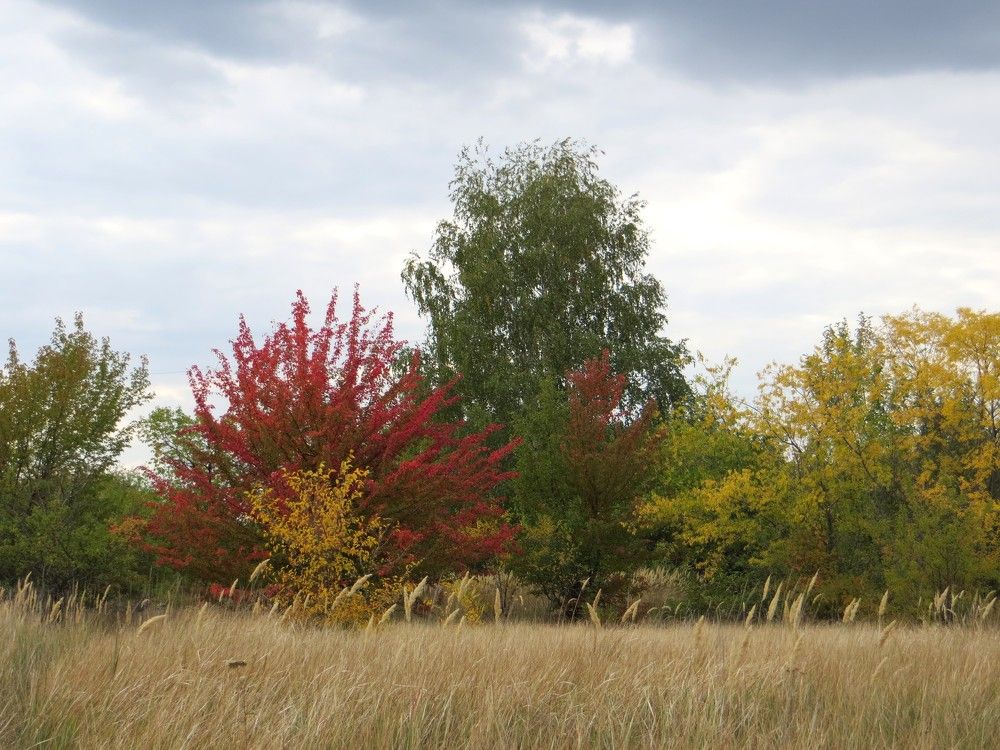 Photograph by Татьяна Поминова