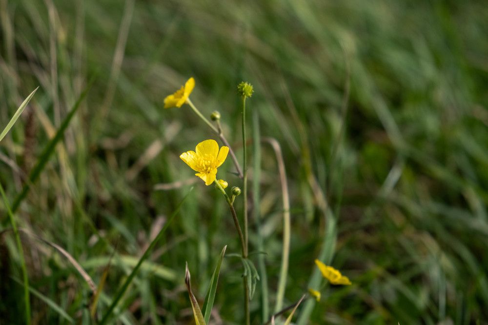 Photograph by Арсений Кучма