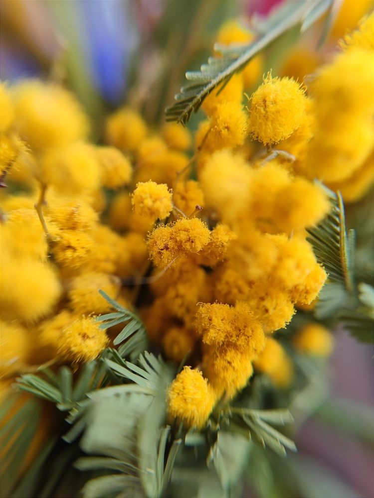 Photograph by Екатерина Харитонова