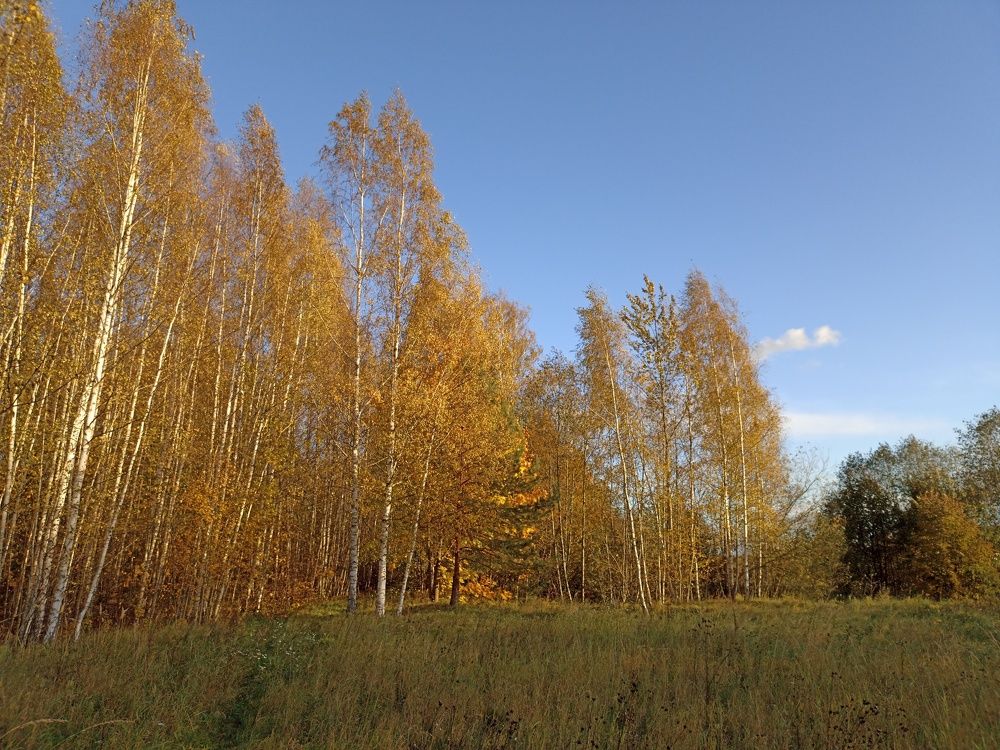 Photograph by Юлия