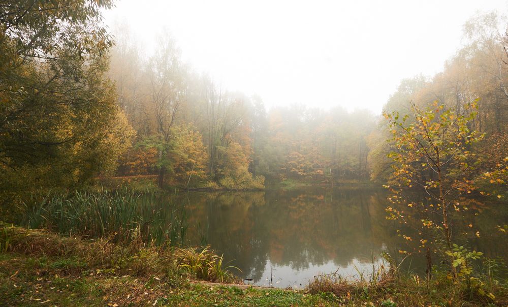 Photograph by Inna Tatarchenko