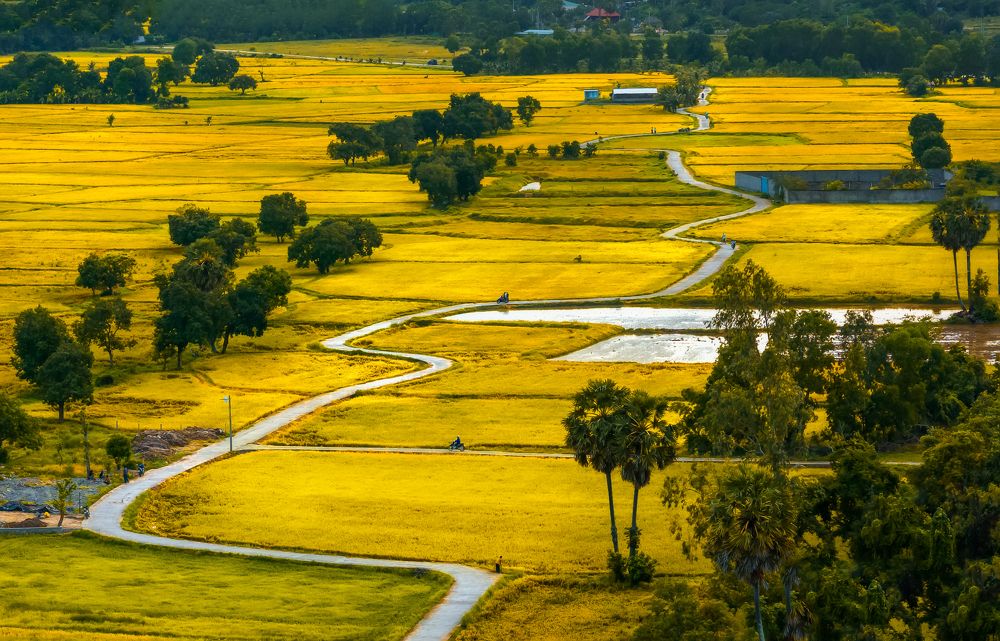 Фотография автора Pham Quynh Nga