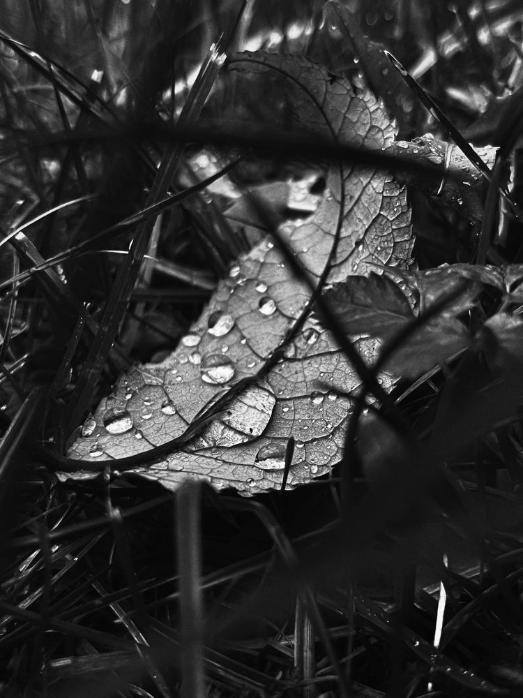 Photograph by Юлия