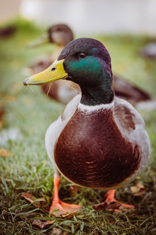 Photograph by Сергей Белокуров