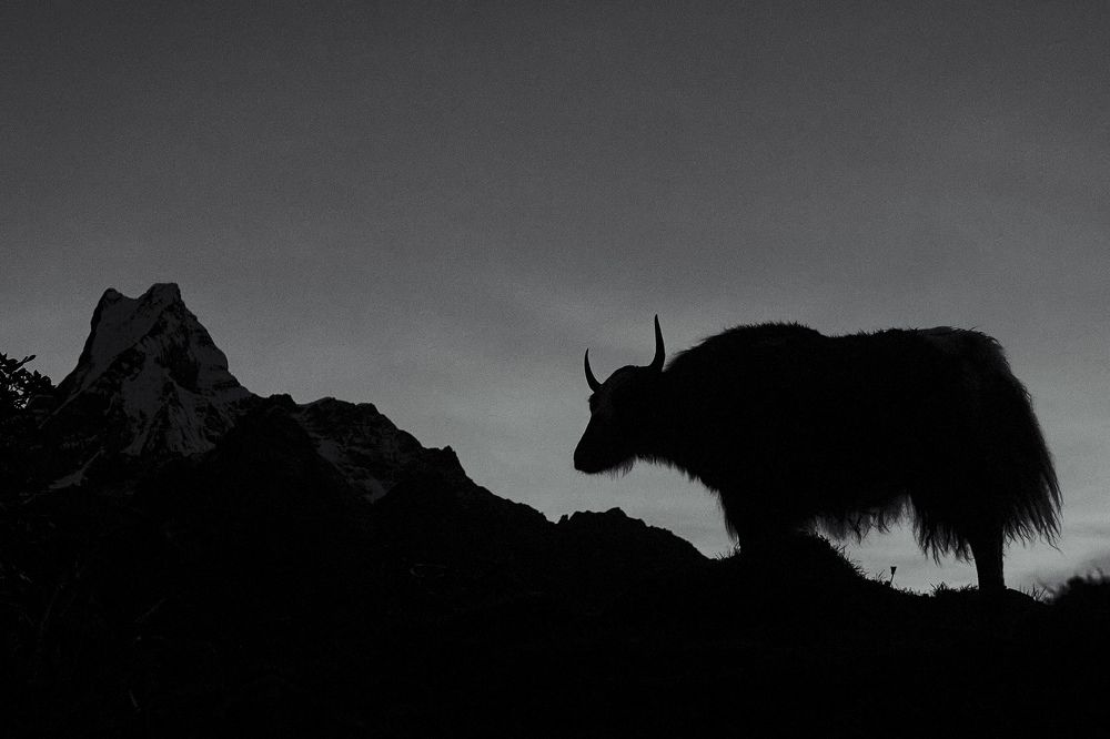 Photograph by Виктор Бабинцев