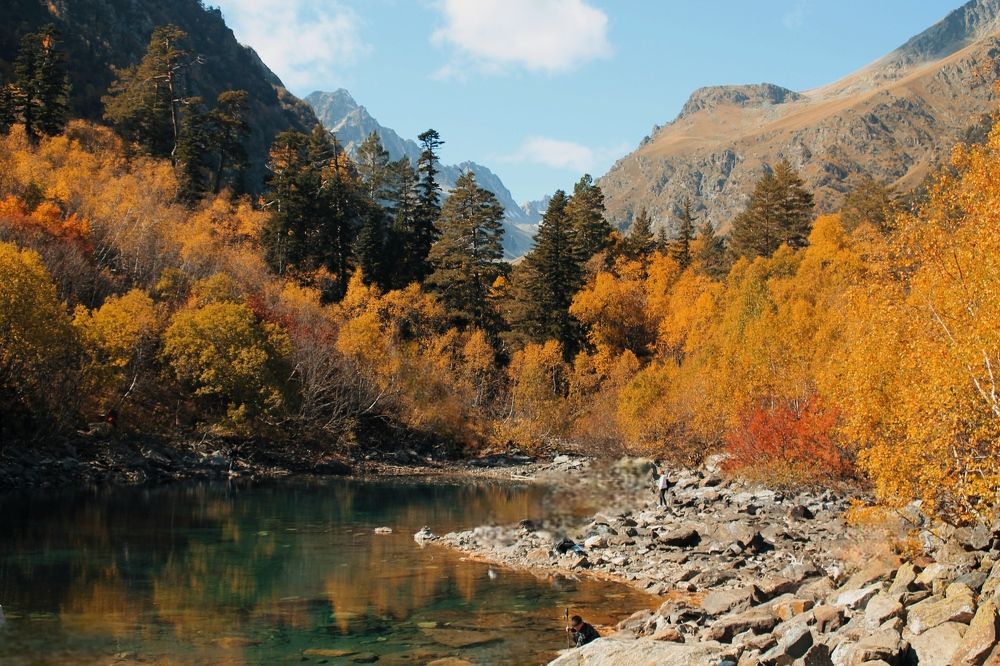Фотография автора Таня Долгушева