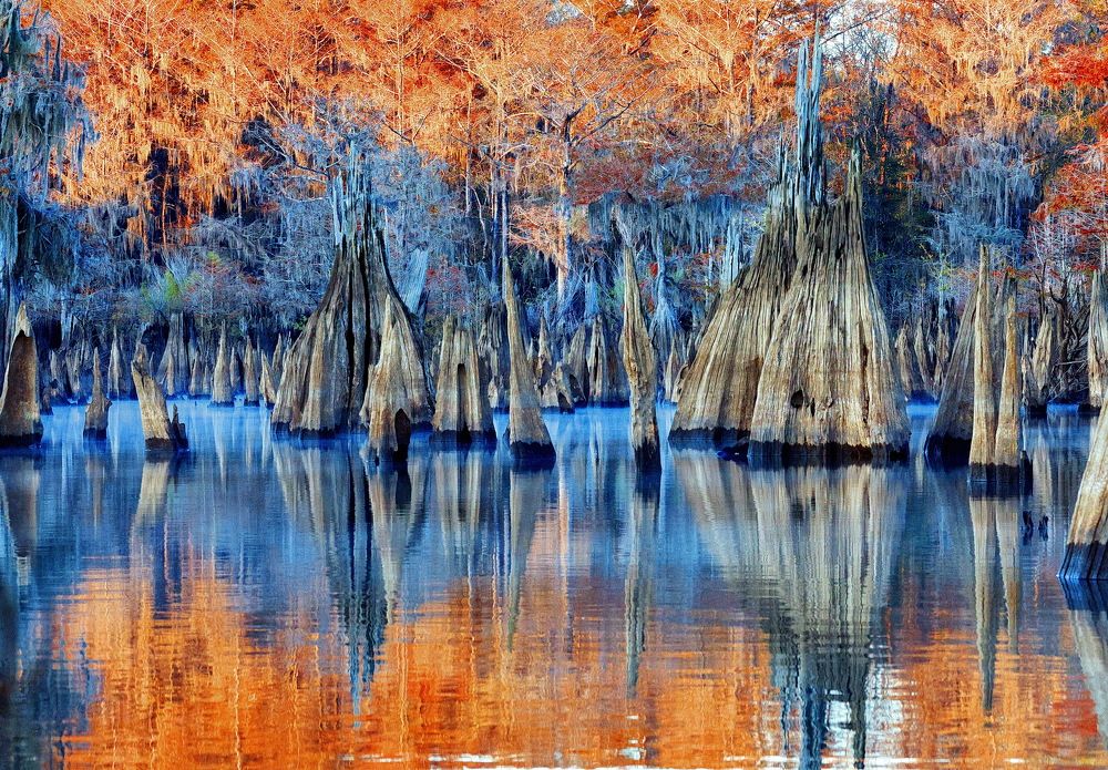 Photograph by Yury Vislaus