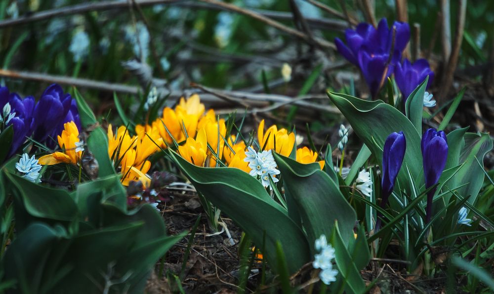 Photograph by Мария Никольская