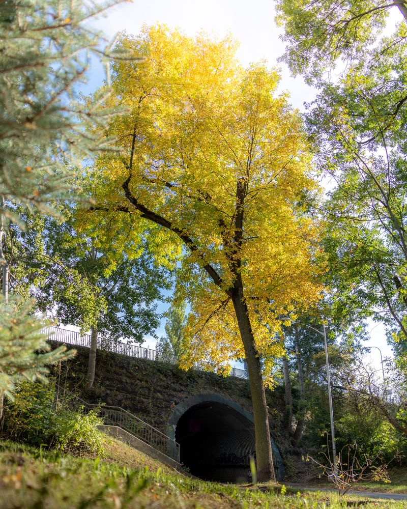 Photograph by Anton Leonchikov