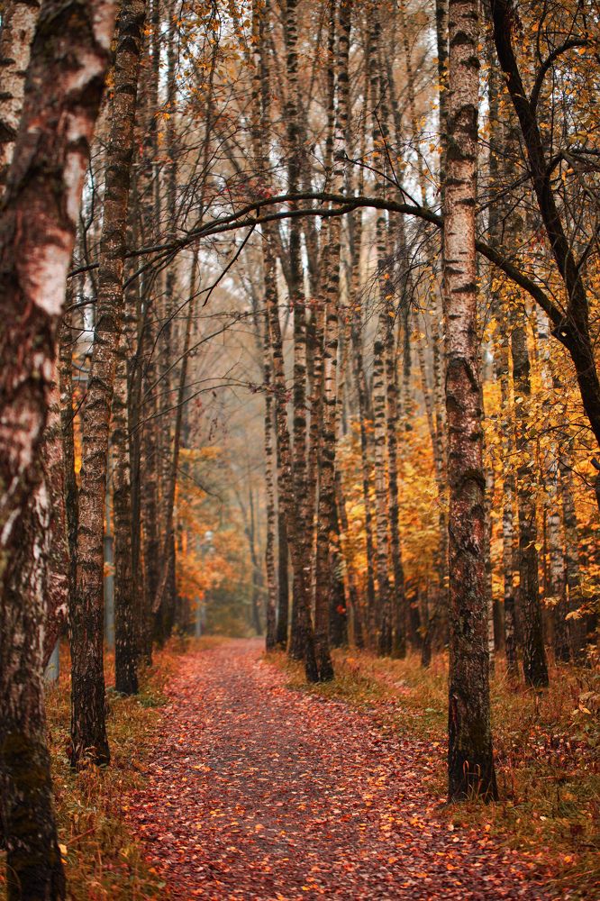 Photograph by Гусева Марина