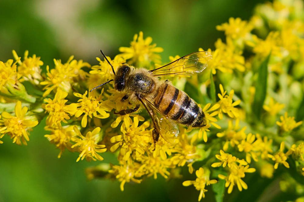 Photograph by Дмитрий Солодухин
