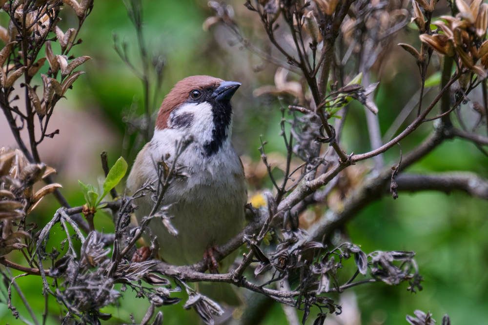 Photograph by Дмитрий Солодухин