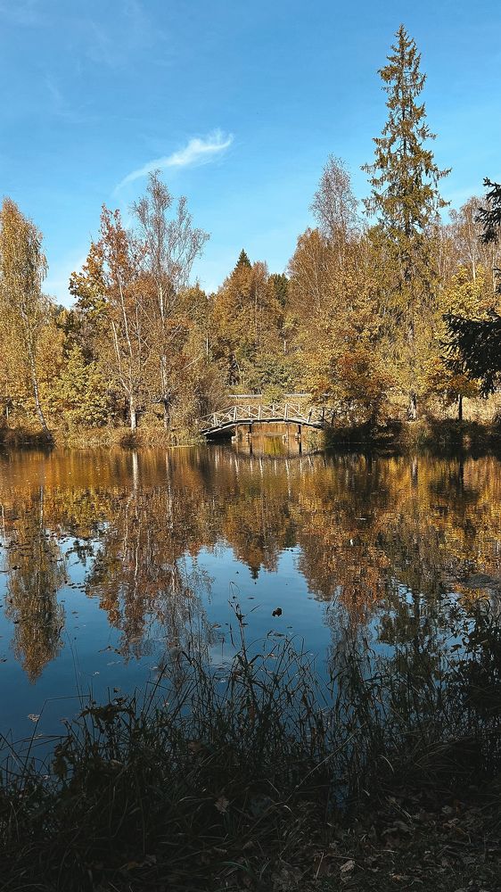 Осень на воде