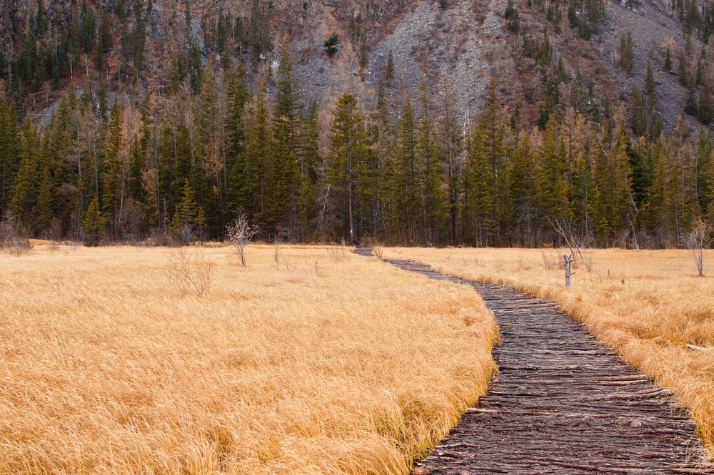 Photograph by Мешков Кирилл