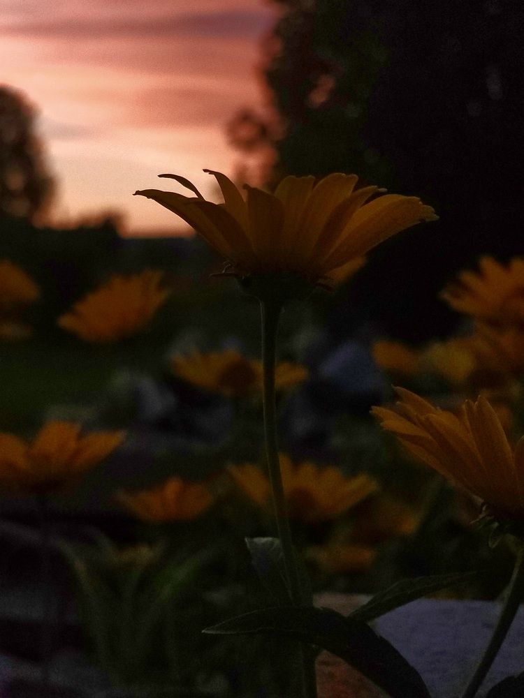 Photograph by Юлия Попова