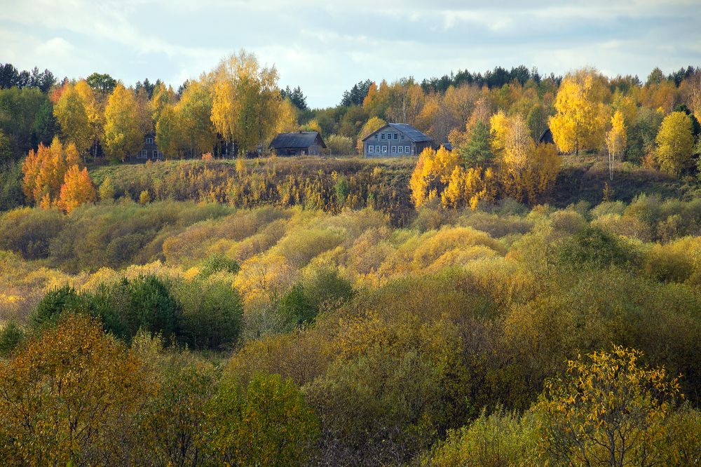 Photograph by Александр Кузнецов