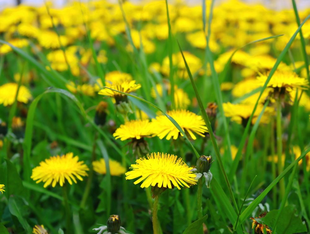 Photograph by Серёга Ануфриев