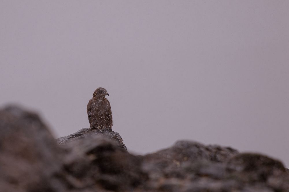 Photograph by Мешков Кирилл