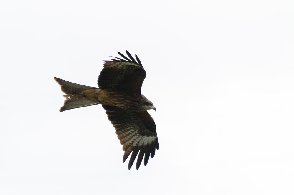 Photograph by Мешков Кирилл