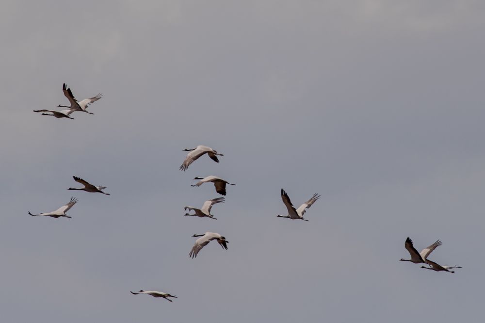 Photograph by Мешков Кирилл