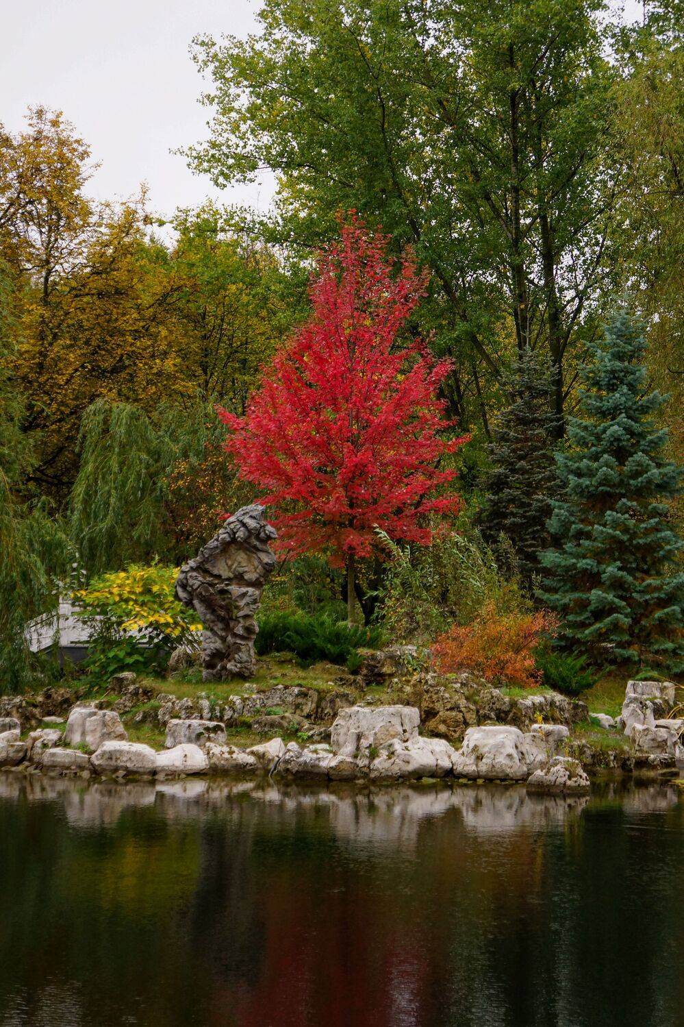 Photo #11145053