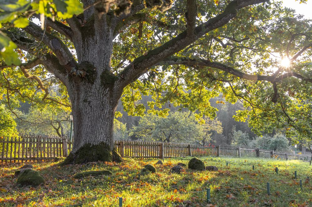 Фотография автора Виктор Громов