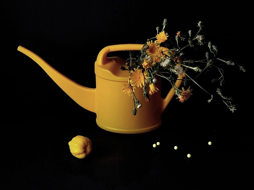 Photograph by Galina Novichkova