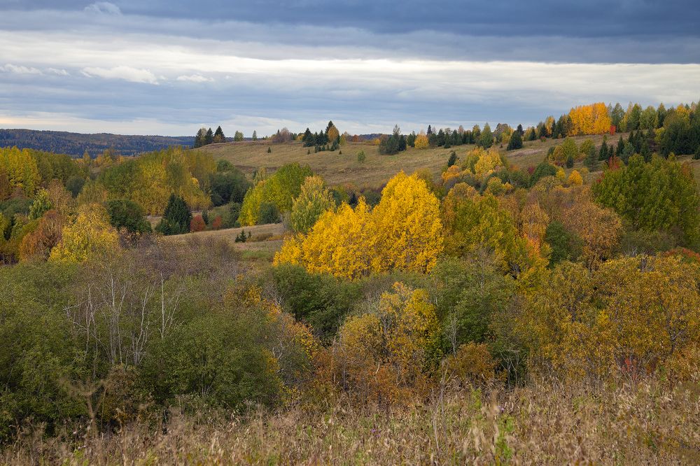 Photograph by Александр Кузнецов