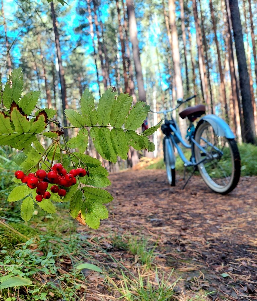 Фотография автора Анастасия