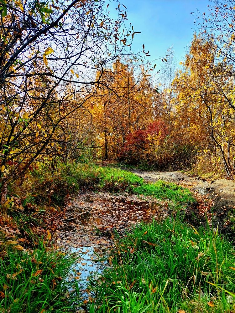 Фотография автора Анастасия