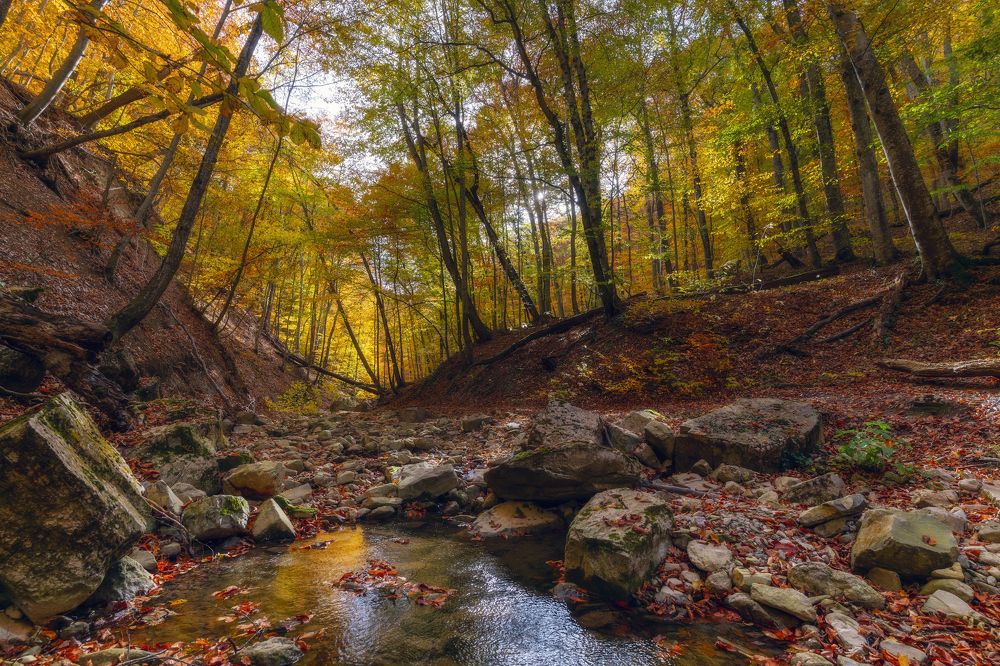 Photograph by Юлия Мальцева