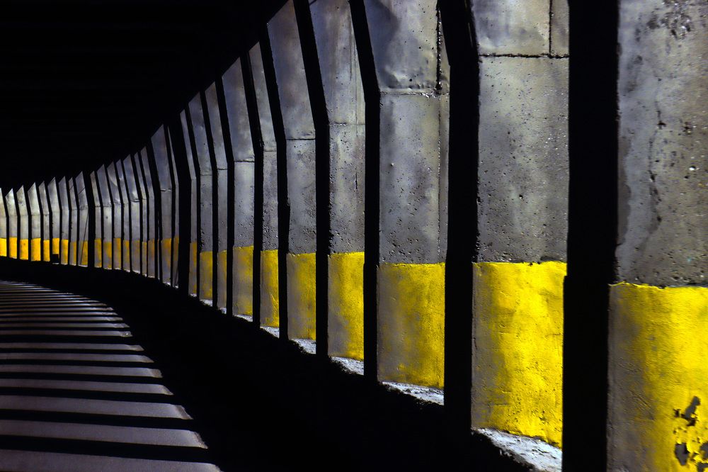 Photograph by Reza Zanganeh