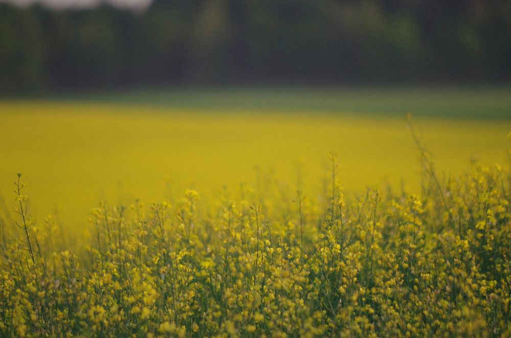 Photograph by Марина