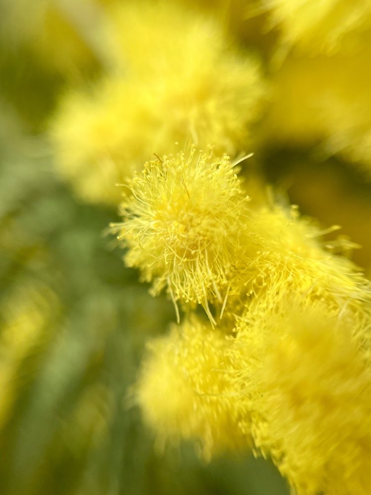 Photograph by Марина