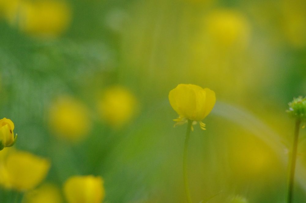 Photograph by Марина