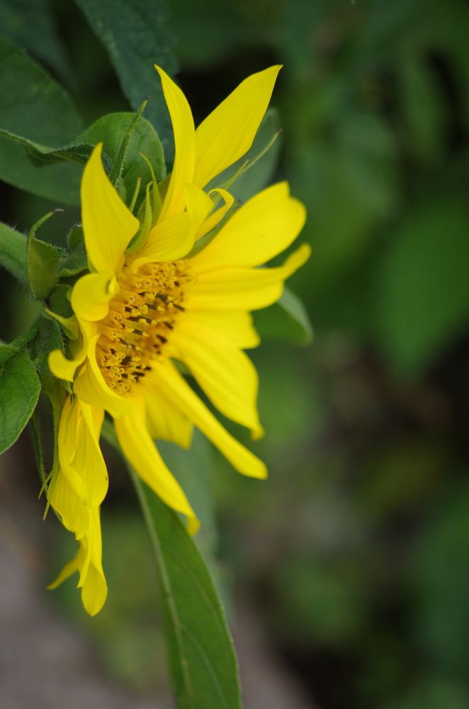 Photograph by Марина