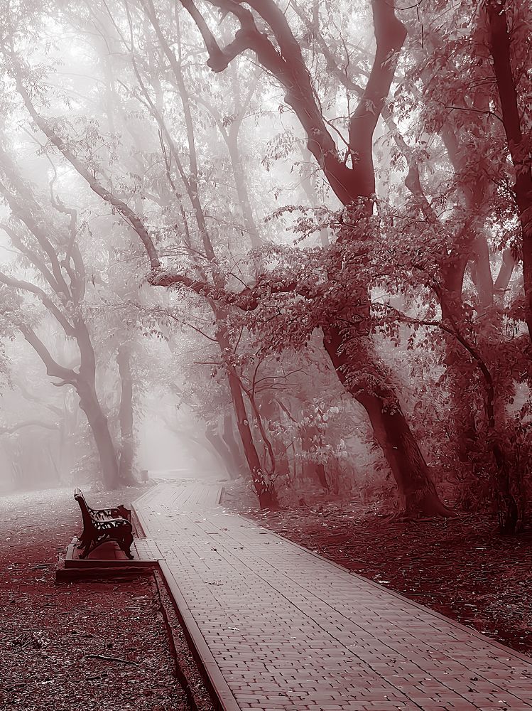 Photograph by Igor M.