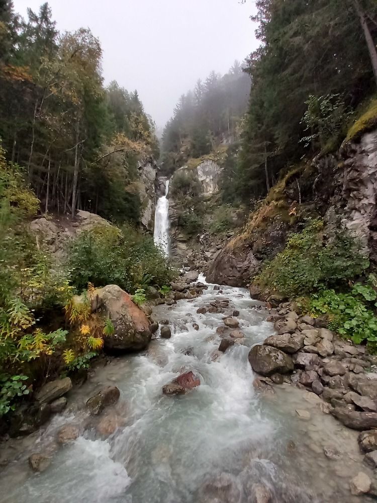 Фотография автора Елена Чернова