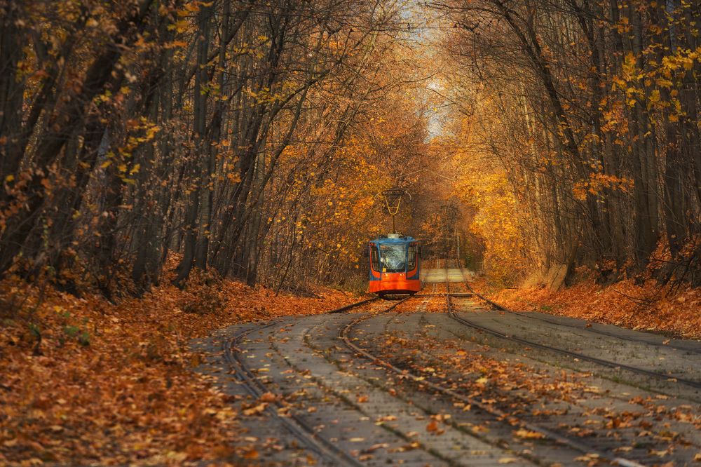 Photograph by Щипкова Елена