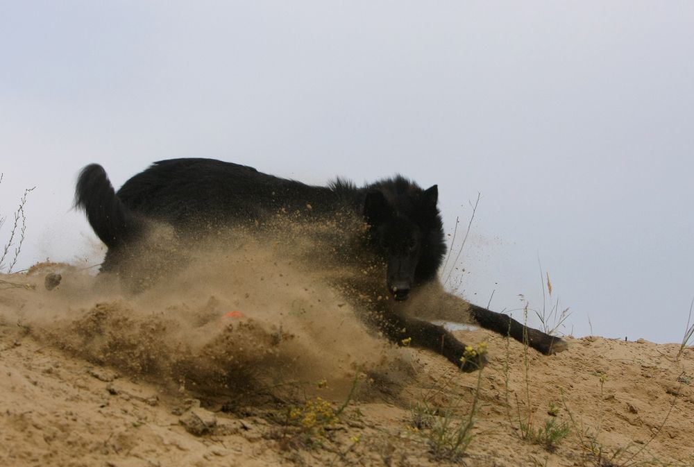 Фотография автора Надежда Лисицына