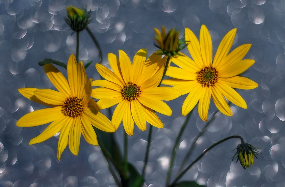 Photograph by Ершова Юлия