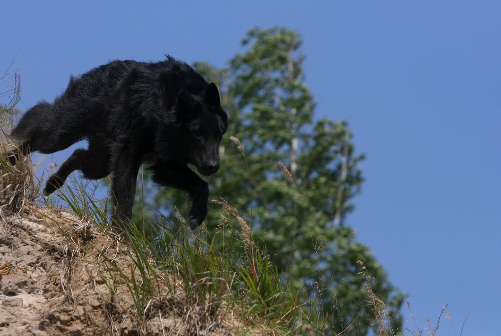 Фотография автора Надежда Лисицына