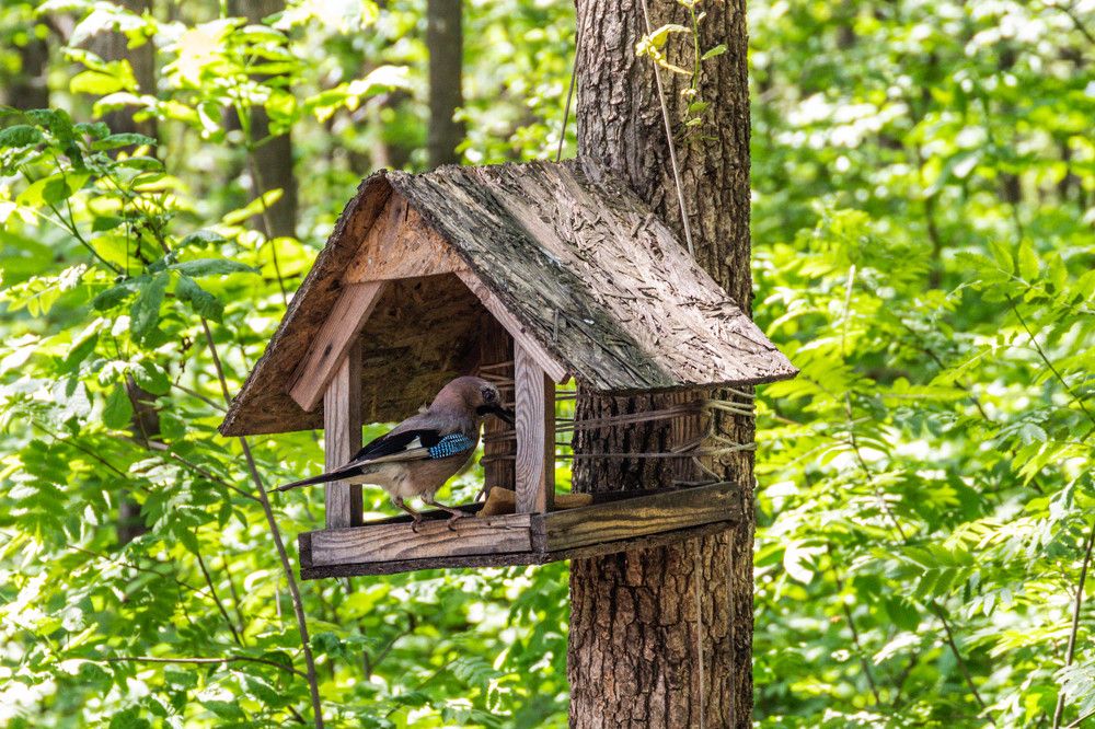 Photograph by Александр Карасев