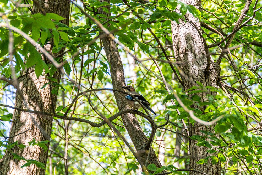 Photograph by Александр Карасев