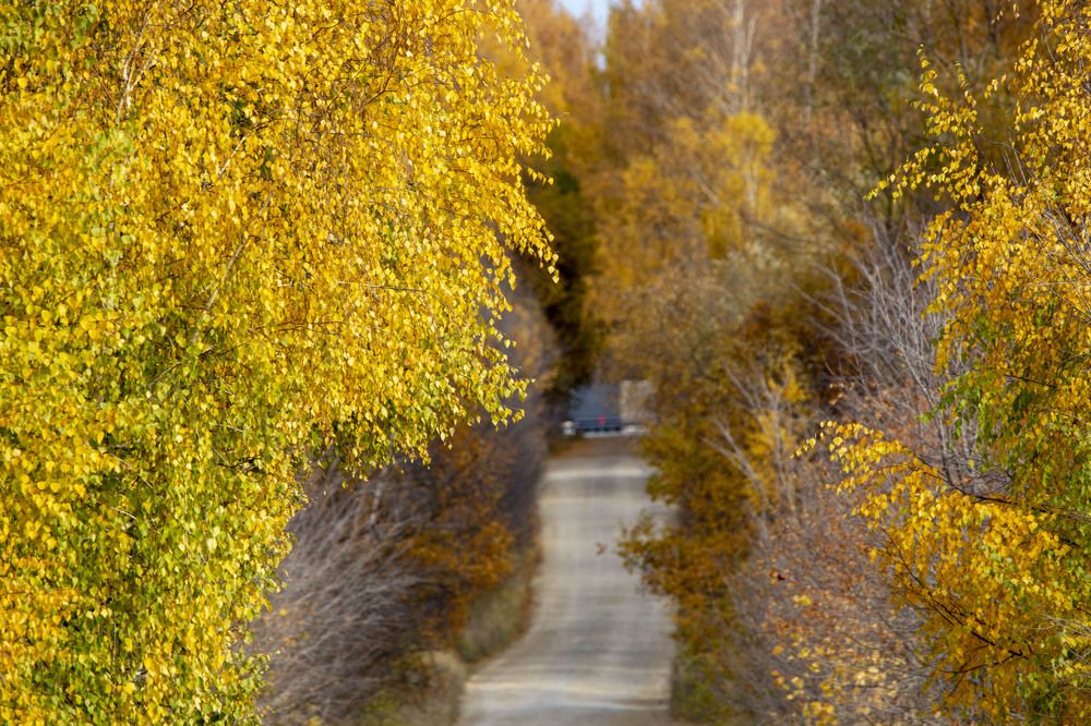 Photograph by Игорь Сапронов