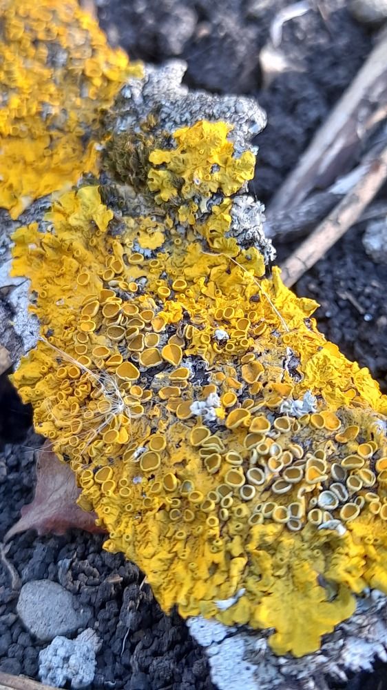 Photograph by Светлана Мазурова