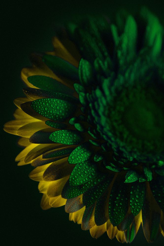 Photograph by Эльвира Полудницына